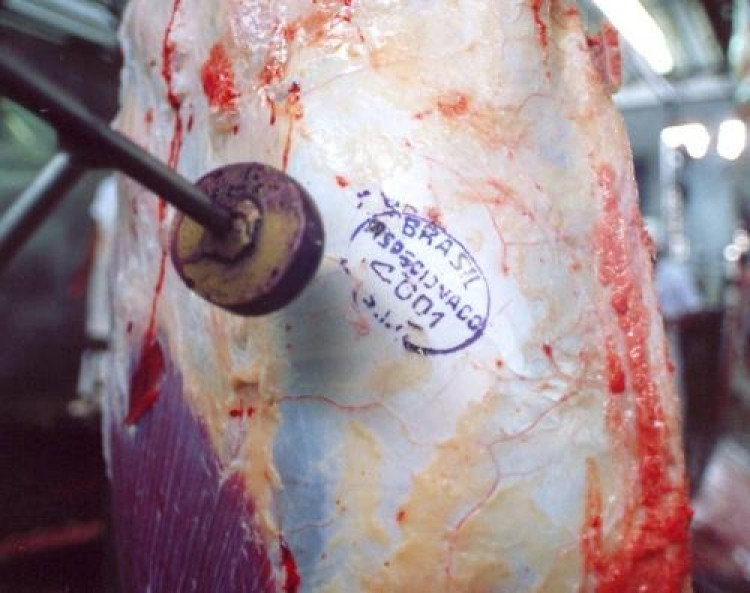 MT ultrapassa São Paulo e se torna maior exportador de carne bovina em agosto