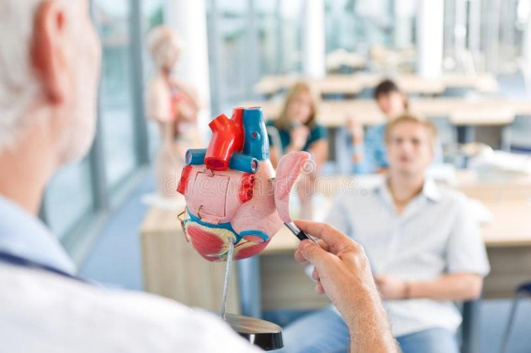 Unemat lança edital para contratação de professor temporário de Medicina com salário de até R$ 5.827