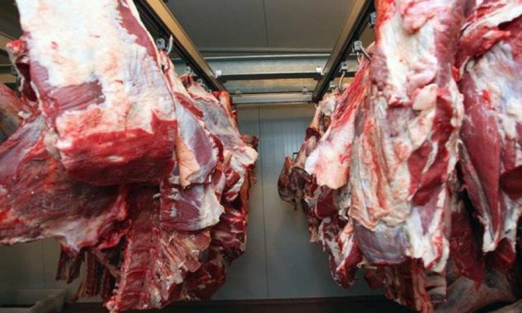 MIRASSOL: Justiça manda interditar matadouro
