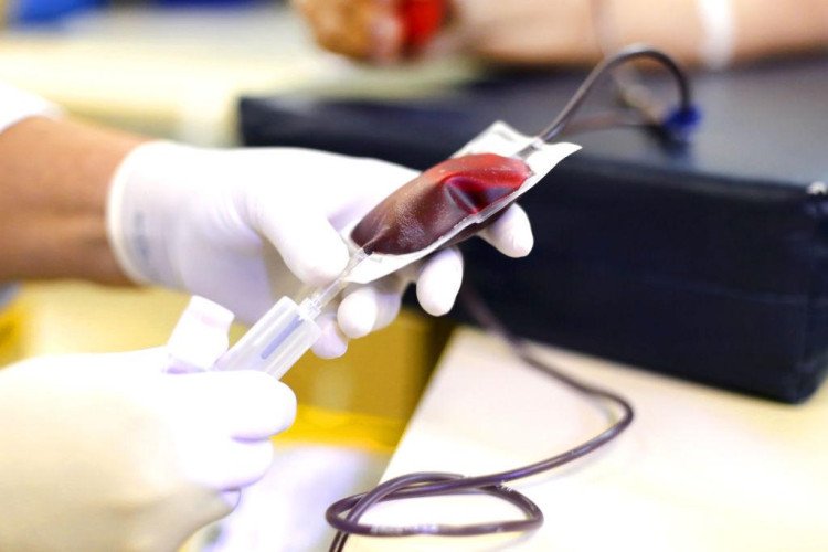 Campanha de Conscientização de Medula Óssea: Doadores voluntário apoie essa idéia