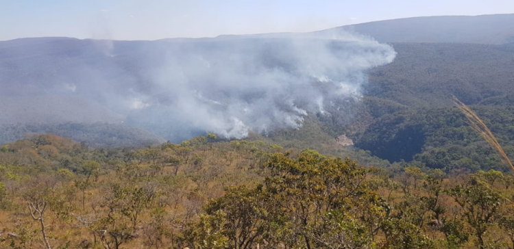 PORTO ESPERIDIÃO E PONTES E LACERDA: Operação integrada combate fogo em Parque Estadual em Mato Grosso