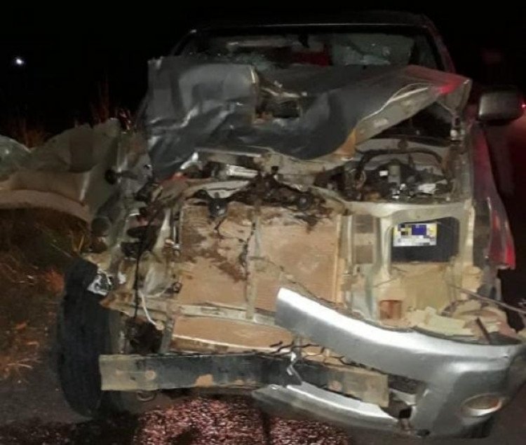 MT 175: Caminhonete fica destruída ao colidir e matar égua em rodovia
