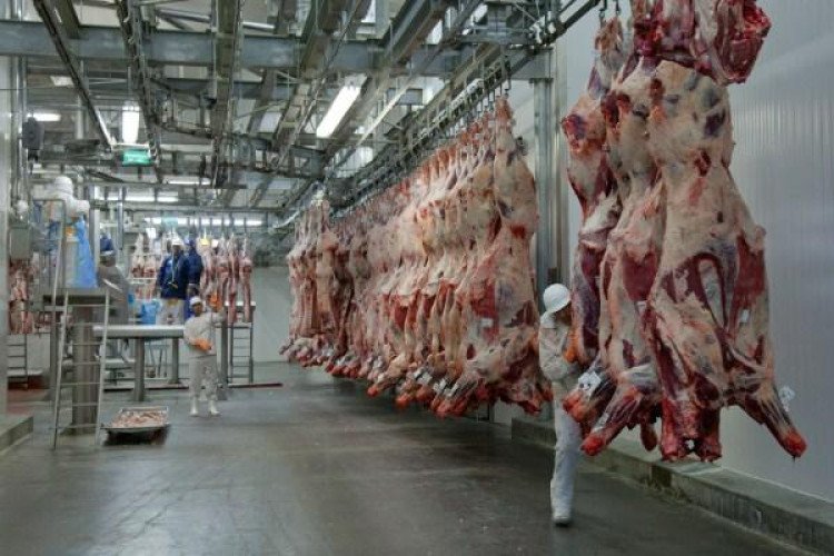 Missão chinesa vistoria frigorífico em Mato Grosso