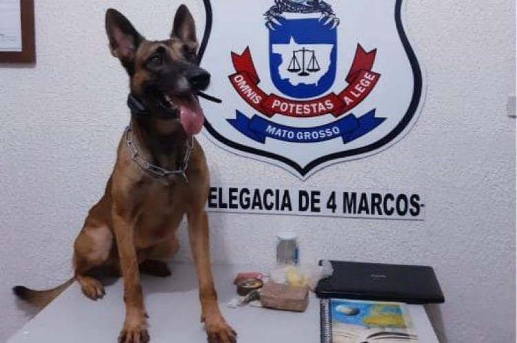 Polícia Civil prende traficante que atuava em São José dos Quatro Marcos e região