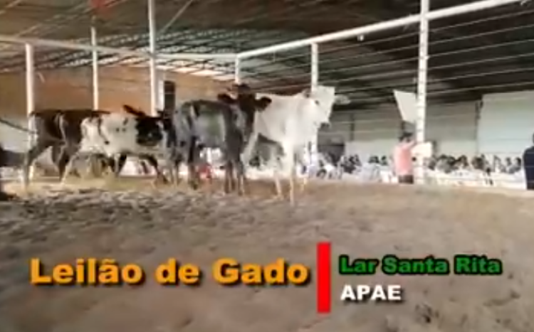 Neste domingo (14) tem Almoço e Leilão beneficiante ao Lar Santa Rita de Cássia e Apae