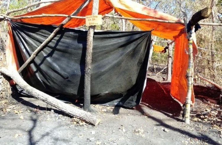 Em Porto Esperidião Sete pessoas são presas suspeitas de grilagem e desmatamento