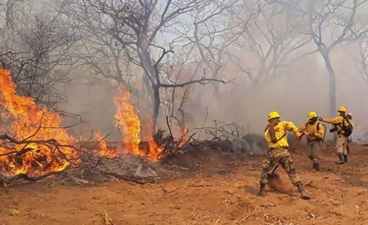 Bolívia pede ajuda de Cáceres por causa de incêndios florestais