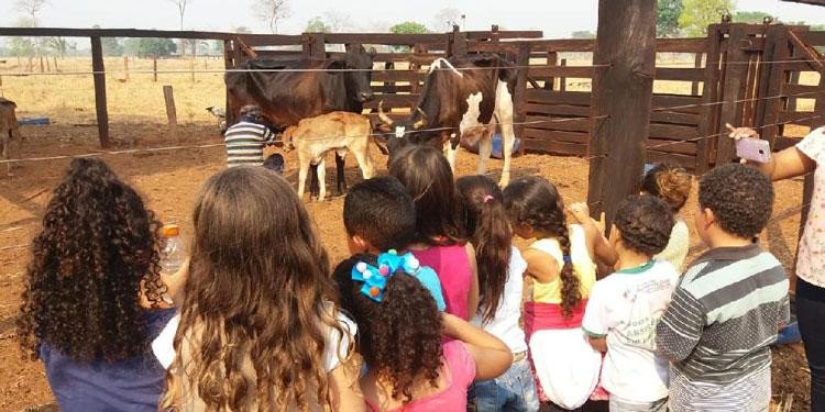 Passeio pedagógico incentiva o turismo nas propriedades rurais de Mirassol