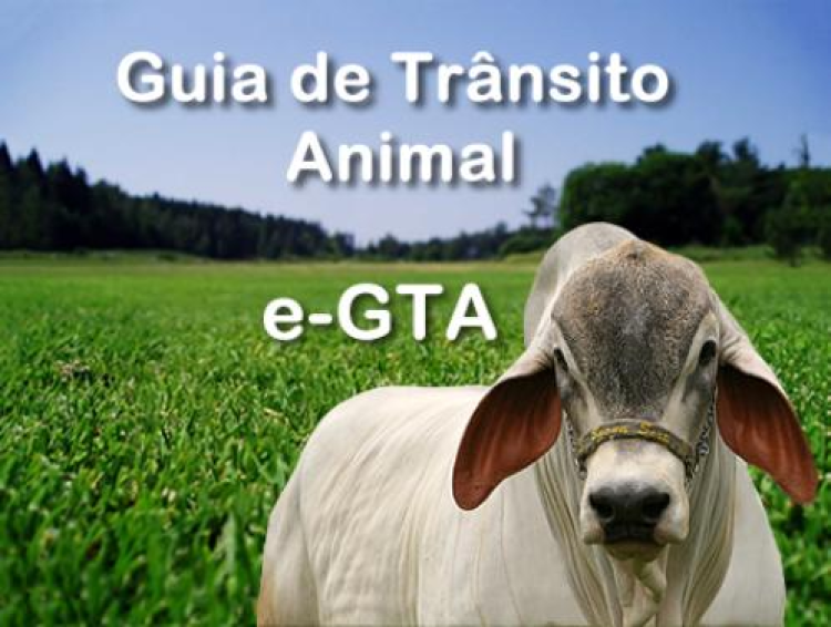 Produtores rurais passam a poder emitir guia de trânsito animal sem ir ao Indea