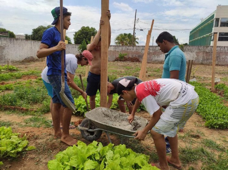 Na região apenas escola de Mirassol será beneficiada com recursos para implantar horta escolar