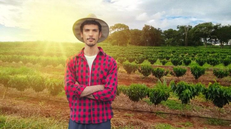 Pronaf terá mais R$ 1 bi para investimento em agricultura familiar