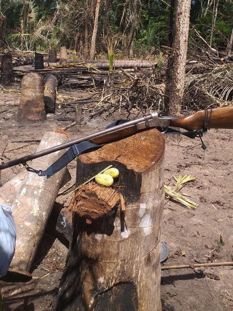 Batalhão Ambiental identifica suspeito de crime ambiental e apreende arma de fogo em Lambari D´Oeste