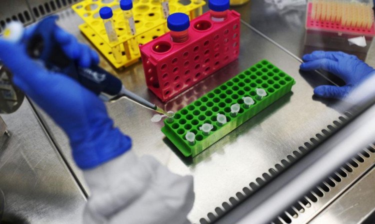 USP busca doadores de plasma com anticorpos para covid-19