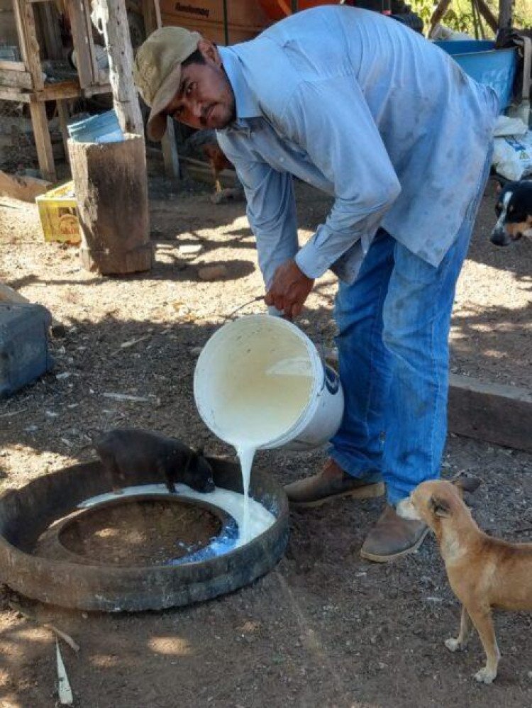 Laticínios dobram o valor a ser pago pelo leite após protestos