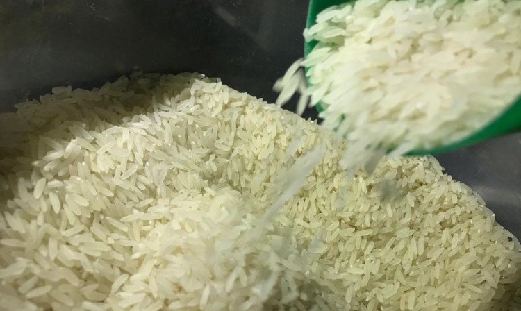 Bolsonaro zera imposto de importação do arroz até o final do ano