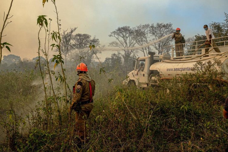 Cinco frentes combatem incêndios no Pantanal com apoio de seis aeronaves
