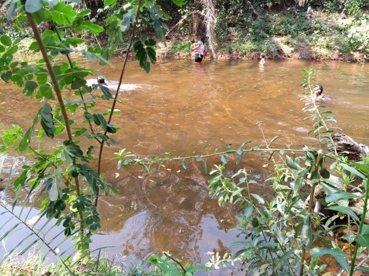 Indígenas denunciam crime ambiental em Área de Preservação Permanente