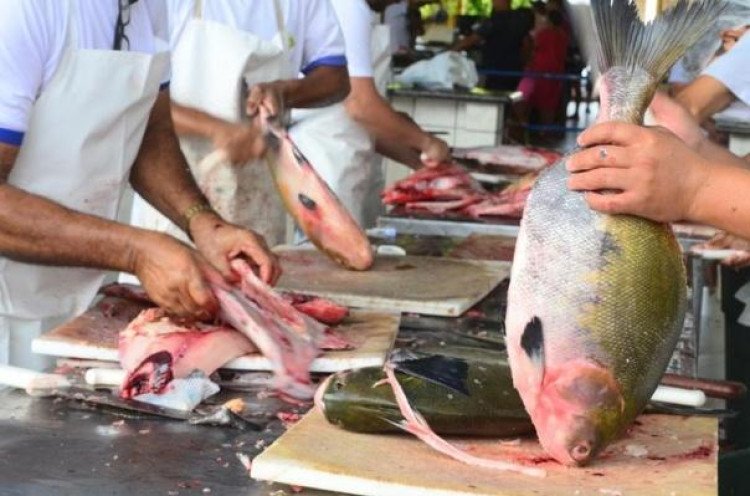 Governo de MT  libera GTA eletrônica para caprinos, ovinos e peixes