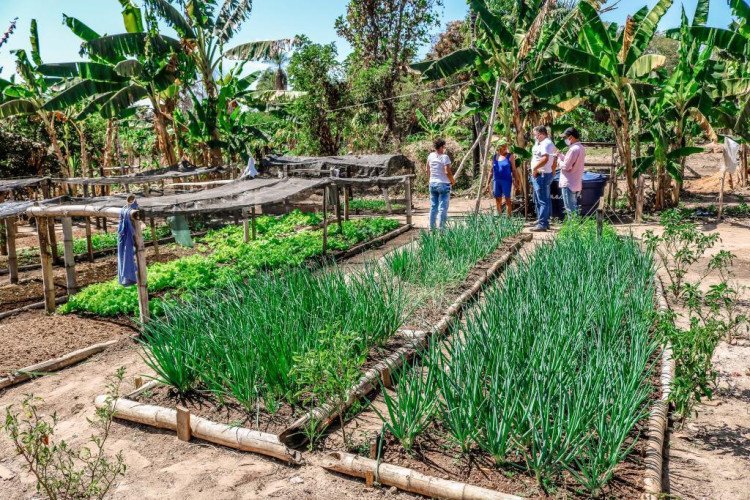 Governo de MT facilita abertura de inscrição estadual aos produtores de assentamentos