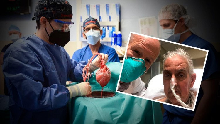 Paciente recebe coração de porco geneticamente modificado nos EUA