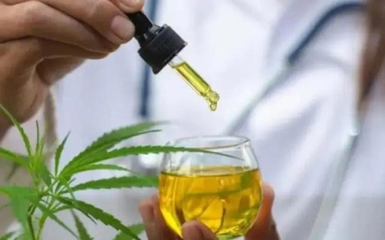 Anvisa autoriza fabricação de novo medicamento à base de cannabis