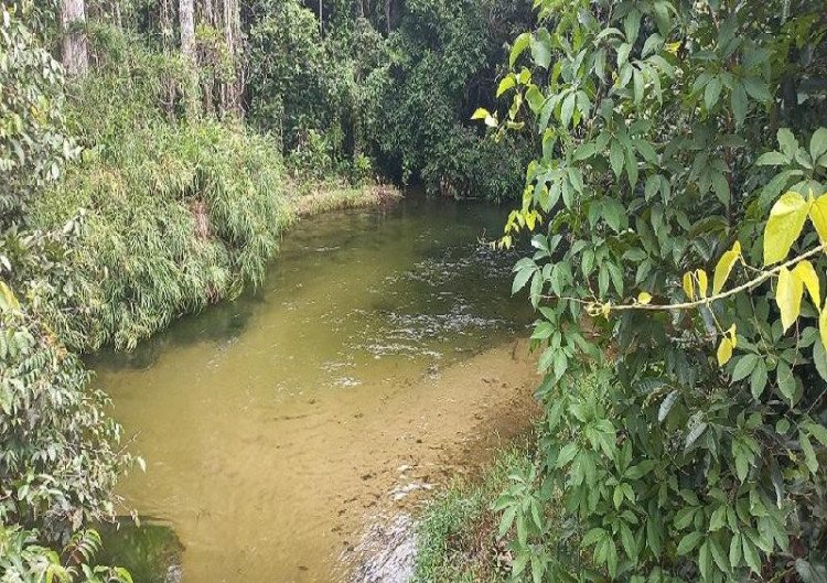 RESERVA DO CABAÇAL:  Empaer e parceiros realizam visita em comunidades rurais com potencial turístico