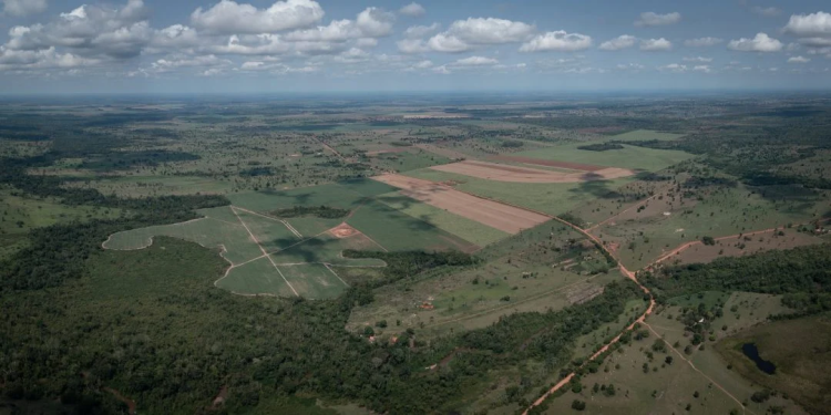 MIRASSOL: Assentados denunciam sobre os impactos do uso de agrotóxicos em propriedades de cultivo de cana, soja e outros monocultivos, tem contaminado as plantações e a água de poços e do Rio Bugre