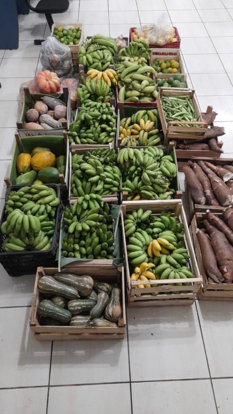Agricultores Familiares iniciam entrega de Alimentos pelo Programa de Aquisição de Alimentos (PAA) em São José dos Quatro Marcos