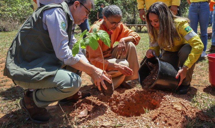 Leis que criam o Conselho Municipal e Fundo de Meio Ambiente são aprovadas em São José dos Quatro Marcos