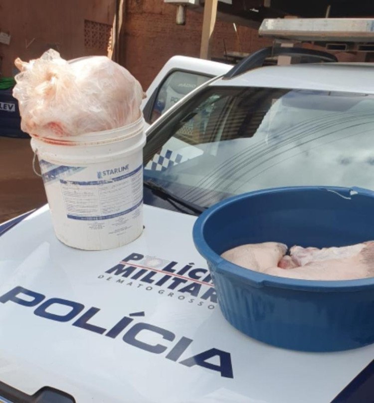Ação rápida da 3ª Companhia da PM de São José dos Quatro Marcos resulta na prisão de suspeitos e recuperação de animais furtados
