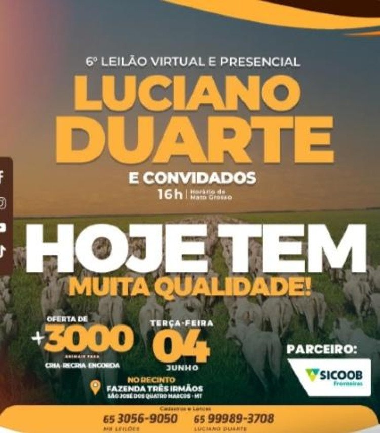 Acompanhe ao vivo agora:  Leilão Virtual e Presencial Luciano Duarte e Convidados: Oferta de Mais de 3000 Animais para Cria, Recria e Engorda na Fazenda Três Irmãos, em  Quatro Marcos