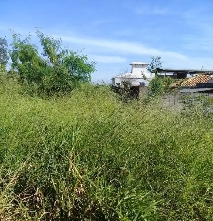 Prefeitura de Mirassol D'Oeste Emite Notificação para Limpeza de Terrenos: Proprietários têm 24 horas para regularizar a situação e evitar multas