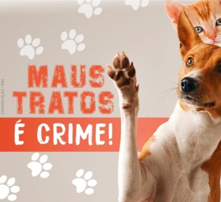 Justiça para os animais: Quatro Marcos dá basta nos maus-tratos com multas de até R$ 5 mil por animal