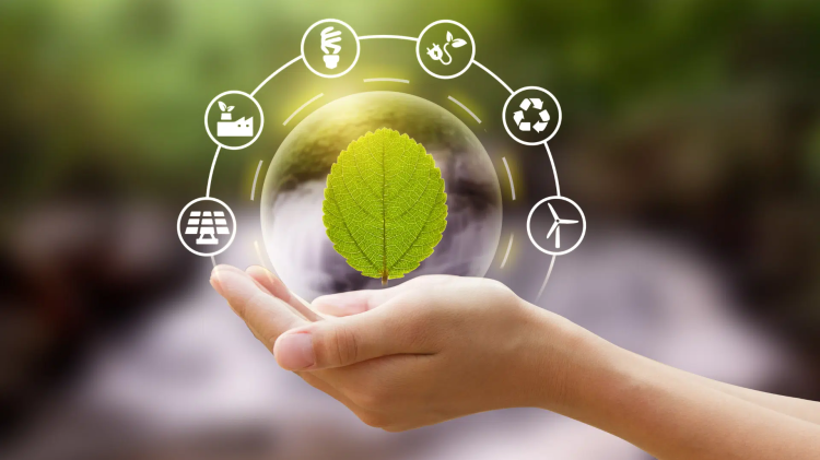 Projetos do Código Ambiental voltam à Câmara; vereador Renilso defende leis que protejam o meio ambiente e valorizem quem gera emprego, renda e alimento