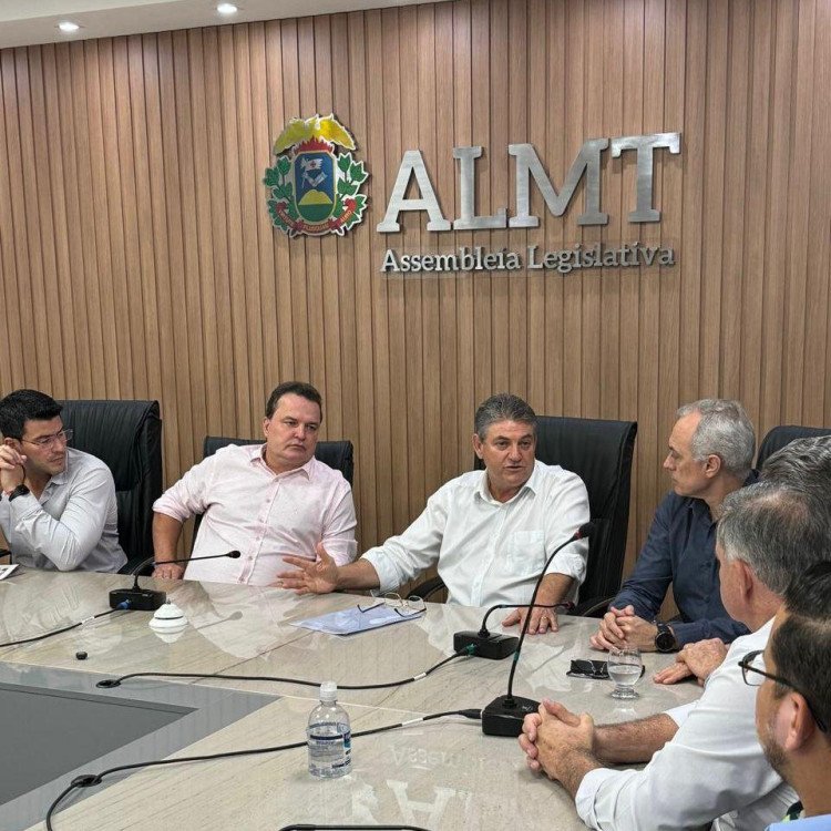 IMPASSE AMBIENTAL:  Deputado Moretto defende regras claras para produção em áreas úmidas de Mato Grosso