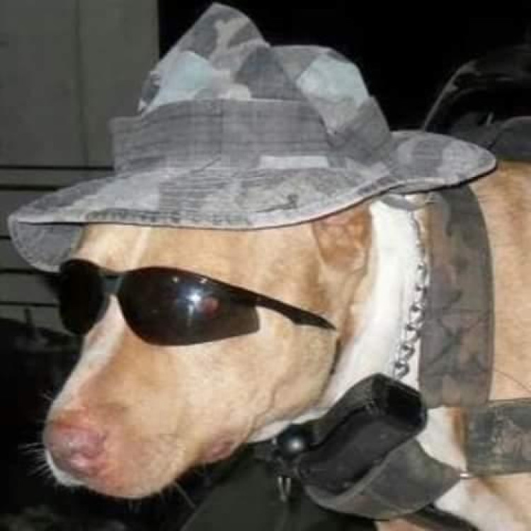Policiais lamenta morte de cão mascote do Gefron